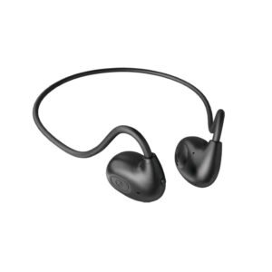 BW61 Wireless Earphones - Accessories